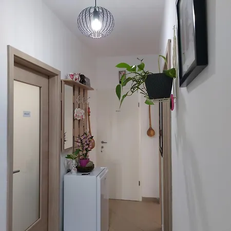 ゲストハウス Elena Pasjak