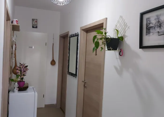 Guest house Elena 3*