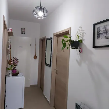 Gostinjska kuća Elena 3*