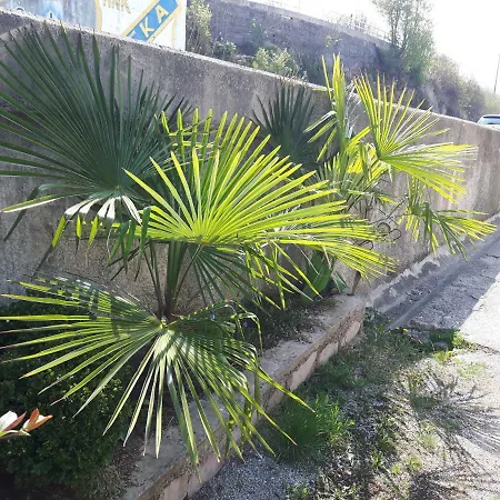 Guest house Elena 3*